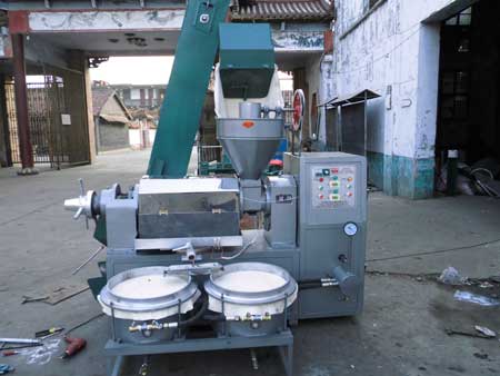 榨油機全套設備大概多少錢(qián)